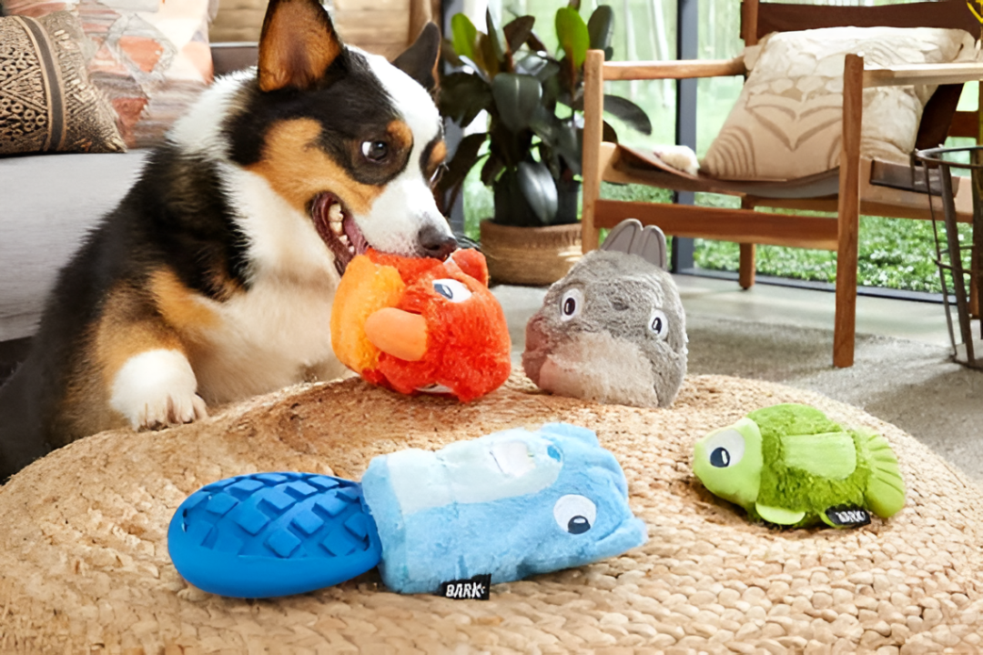 The Importance Of Playtime For Pets